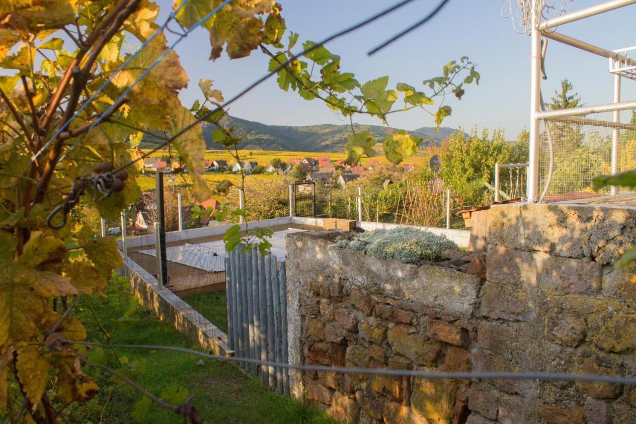Le Zell Villa Zellenberg Eksteriør bilde