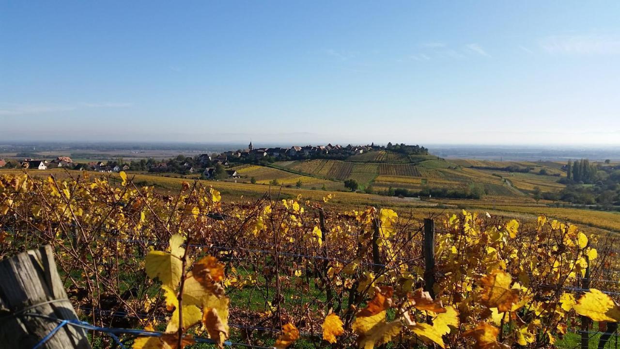 Le Zell Villa Zellenberg Eksteriør bilde